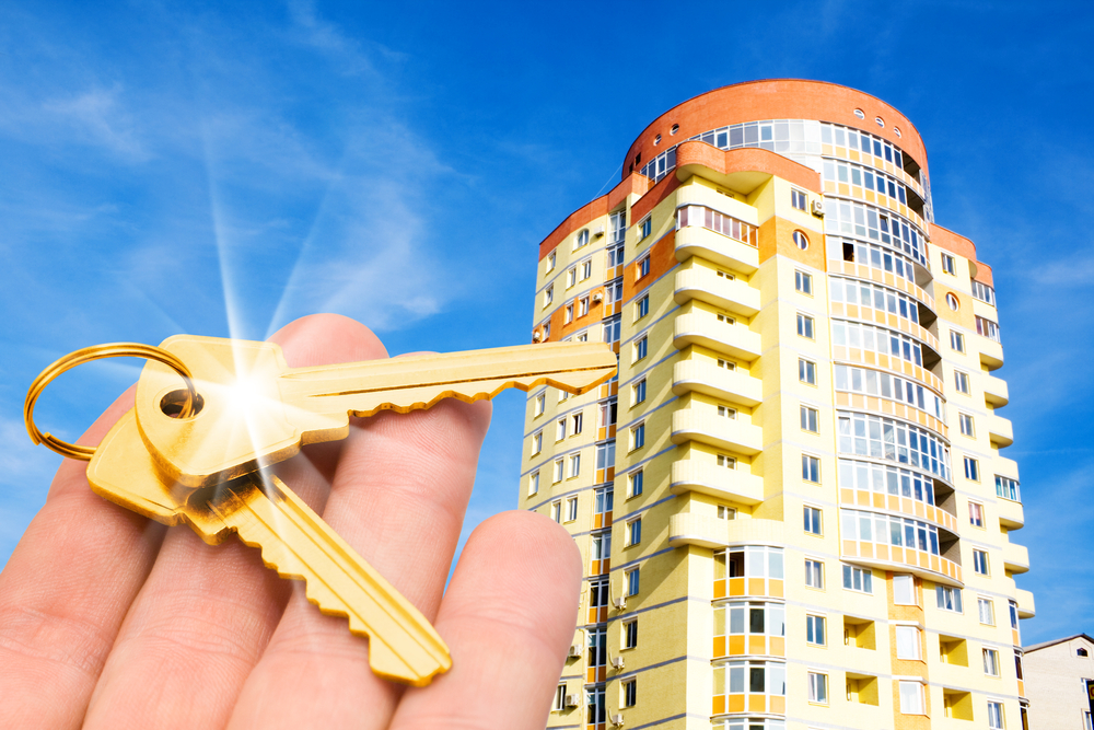 Navigating Commercial Real Estate in Fredericton: Your Path to Business Success